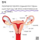 알바경력 일주일의 아둥바둥 알바 지원기(+간단한 후기)