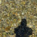 옥계매점식당 이미지