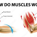 PT의 정석 운동재활센터 이미지