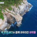 해녀민텔 이미지