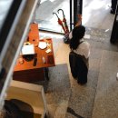 출입국전문 행정사 이미지