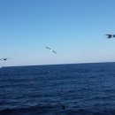 신도시당구클럽 이미지