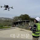 976 대구신문