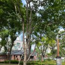 먹적골어린이공원 이미지