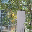 어반플랜트 수영 이미지