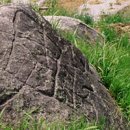 광천리마을회관 | 고인돌 - 전라지역권의 고인돌