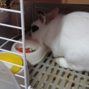 원칸통상 이미지