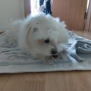 방구동구스낵 이미지