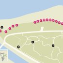 금은모래 캠핑장 이미지