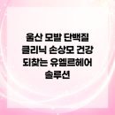유엘르헤어 - 동구 방어진순환도로 919 | 울산 모발 단백질 클리닉 손상모 건강 되찾는 유엘르헤어 솔루션