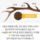 참다한홍삼 포항양덕 법원점 이미지