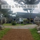 동읍1177 이미지