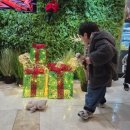 어반네이처 | 부산 실내 26개월 아이와 함께 가볼 만한 도마뱀이 있는 이색 카페 어반네이처