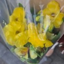 남부순환로72길 | 뮤지컬 'SUGAR(슈가)' 관람후기, 한전아트센터 2층 시야, 근처 맛집 추천👀