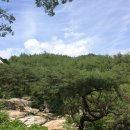 진주 낙수암 네이버블로그