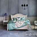 프란시스 이미지