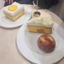 신애투 | 일월의 정원