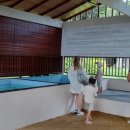 거북이세탁소 이미지