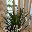 아나덴 슈가링왁싱 수유역점 이미지