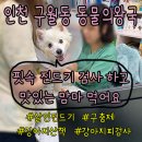 동물의왕국동물병원 이미지