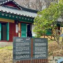 봉황대공원(주차장입구) | 김해 산책하기 좋은 벚꽃 명소, 김해 봉황대공원 벚꽃 개화 현황 (26년 3월 31일 방문)