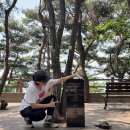 살로몬 제네시스 S/Lab 한 달 사용 후기(ft. 관악산 러브 버그)