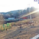 칠포농장 이미지