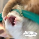 11650-7-69-6 | [방린이의 방탈출일지 69] 플레이33 건대점 '그날'