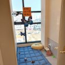 발리애견호텔 이미지