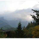 월악산자연농장 이미지