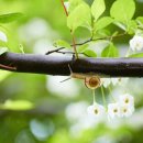 제미니 행정사합동사무소 이미지