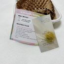 엘비스 | 오브제 캔들 감성 가득한 비엘비스 괴마옥 화분 소이캔들 후기