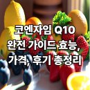 유한회사 로또에너지 | 코엔자임 Q10 완전 가이드: 효능, 가격, 후기 총정리