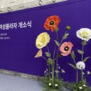 세종플라자 이미지