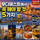 파프나라 | 꼭 해야 할 것 5가지 직접 다 해보고 뽑은 진짜 부다페스트 여행 버킷리스트 (2026년 7월 방문 후기)