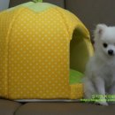 김지영복싱GYM 이미지