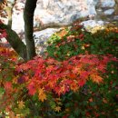 취가정1 이미지