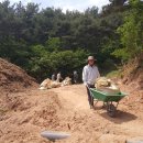 영해농장 이미지