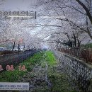 팔룡동150 이미지