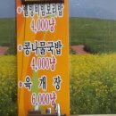 맛나 보리밥 이미지