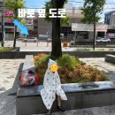 들샘공원 | 대구 북구 아이와 가볼 만한 곳｜들샘공원 바닥분수 후기
