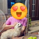 24년 추석 명절 음식 장보기 및 먹부림 사진 1탄