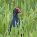 상계119안전센터 이미지