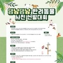 댕냥댕냥