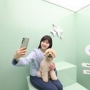 더갤럭시펫
