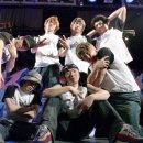 사랑애견 이미지