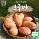 해남 한끼