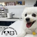 종합동물병원 이미지