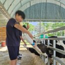 진로목장 이미지