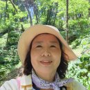 영주 산나물 정원 견학 후기